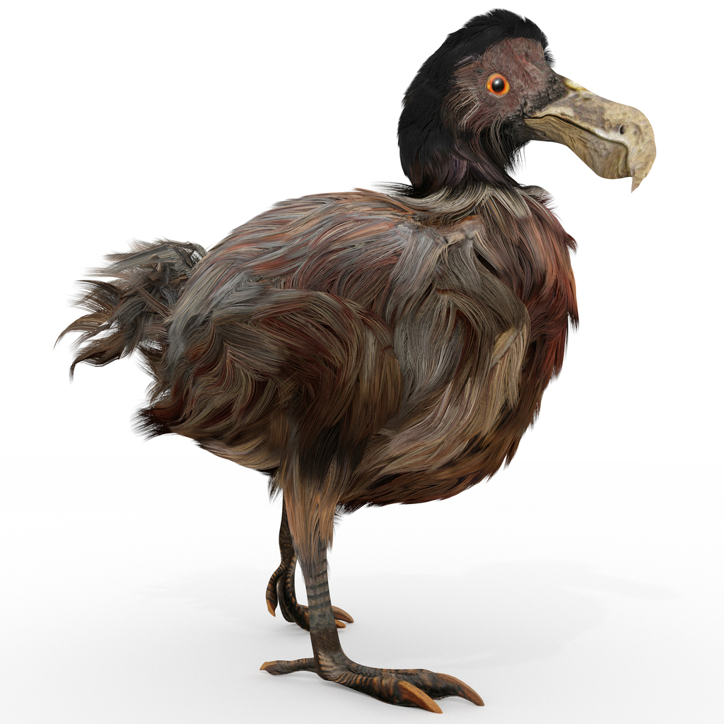 Are Job Postings Going The Way Of The Dodo Bird? - Mirus ...