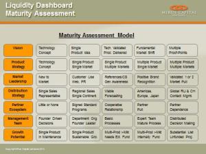 Maturity Model